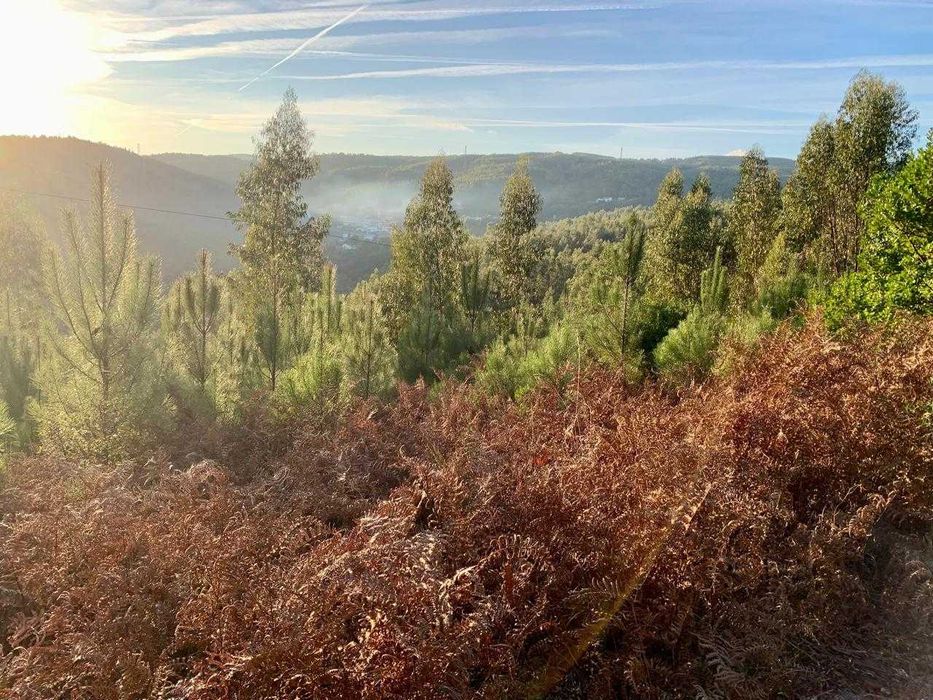 2 terrenos juntos       290m de margem de estrada nacional 344