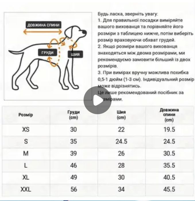 Комбінезон для собаки