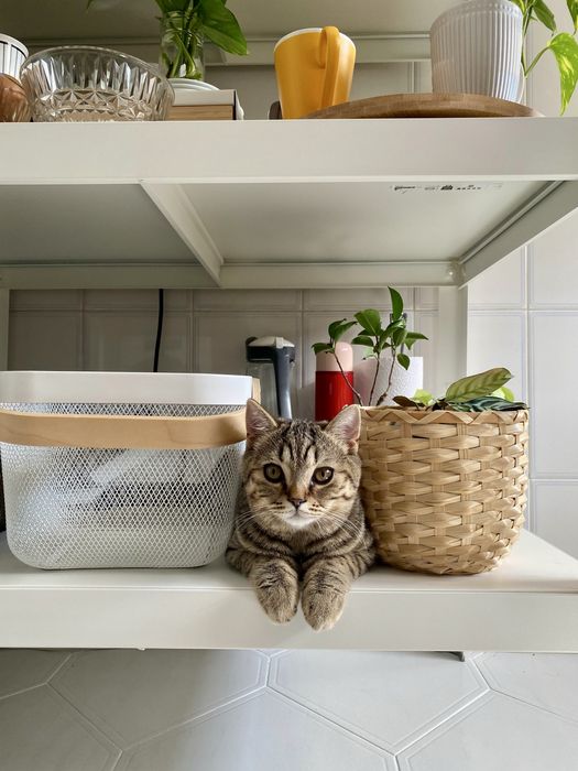 Estante robusta em aço, branca, 85x40x190cm, modelo Bror do Ikea