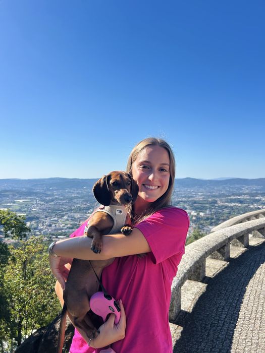 Petsitting e dogwalking