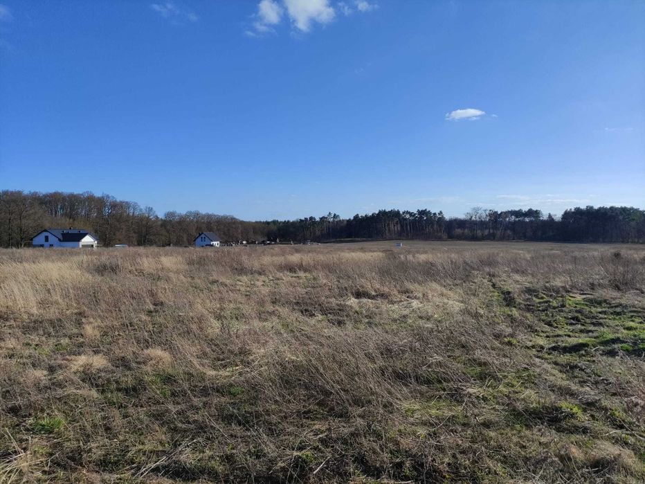 Działka budowlana w spokojnej okolicy ul. Leszczynowa Janczewo - Widok 4