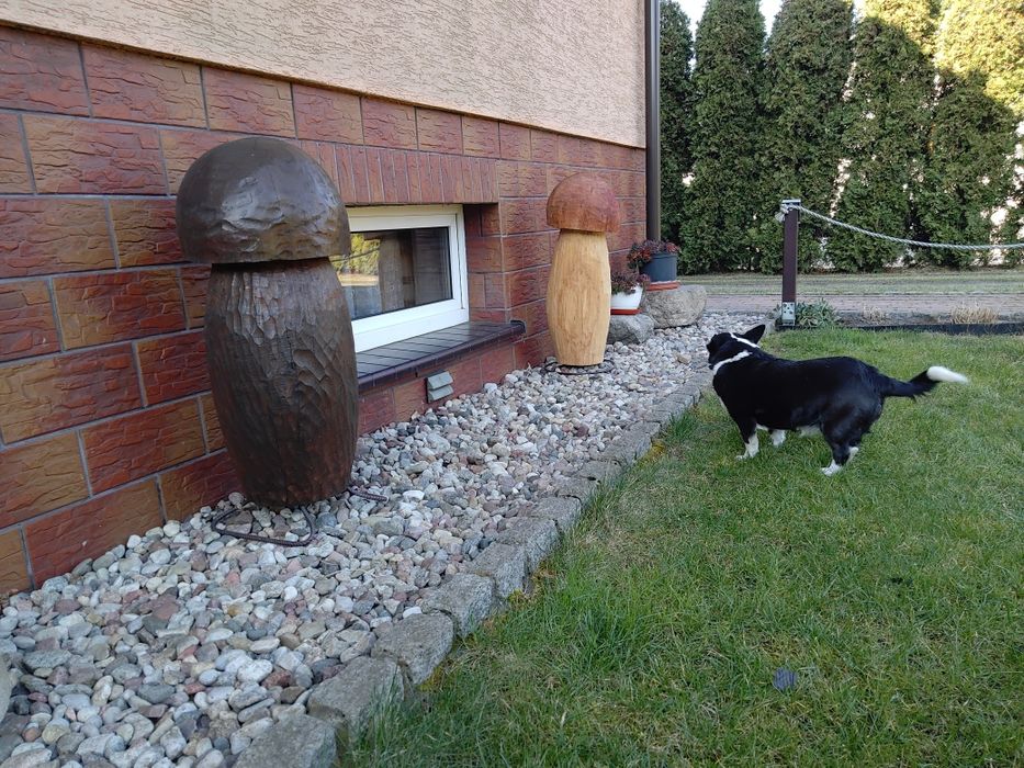 Dekoracje ogrodowe, grzyby z drewna do ogrodu lub na taras