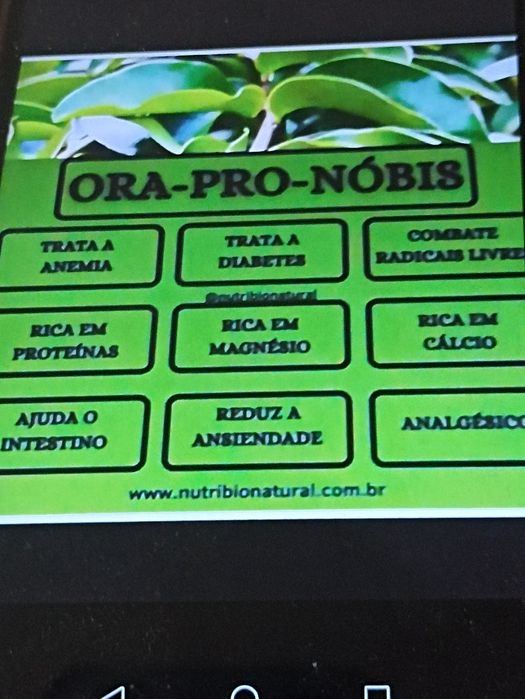 Ora pró Nobis peresquia acolleata