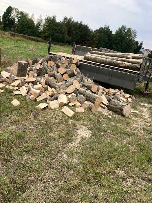 Drzewo drewno opałowe grab sosna brzoza