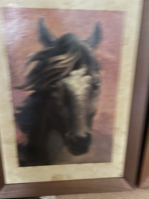 2 quadros de cavalos com moldura em madeira.