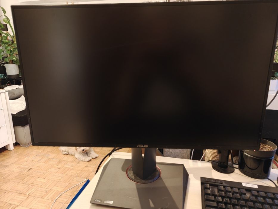ASUS ROG Swift PG278Q 27" 1440p 2K | Prawdopodobnie uszkodzone DP