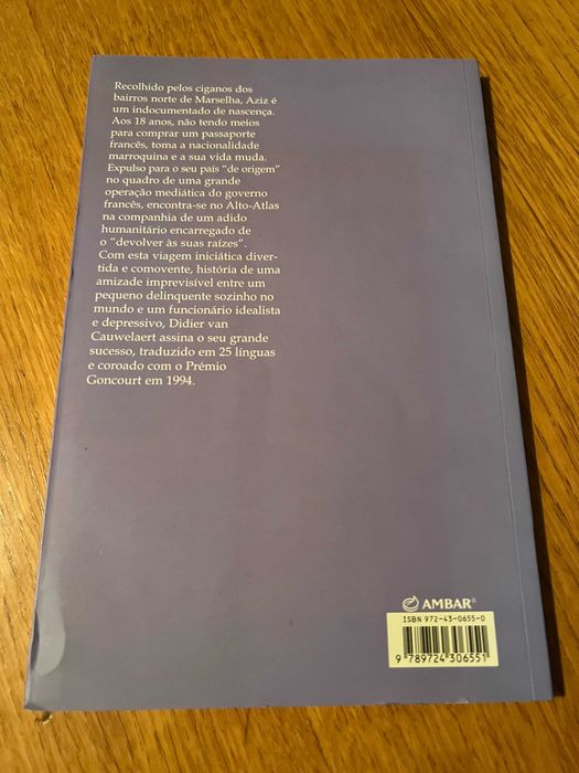 UM BILHETE SÓ DE IDA      Didier van Cauwelaert