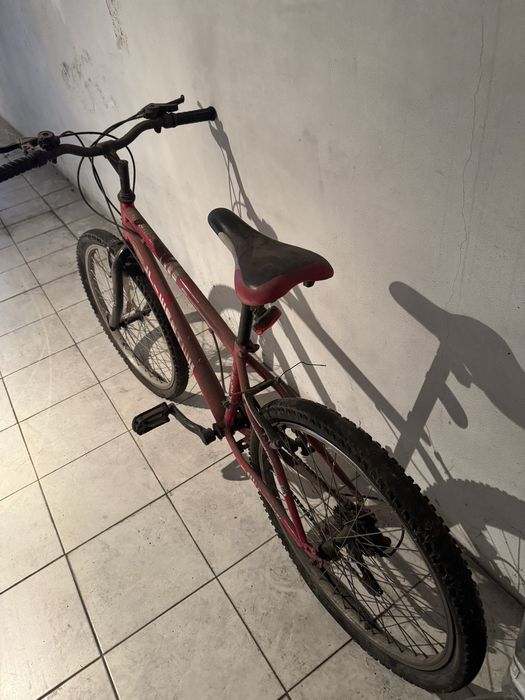 Bicicleta jl-went
