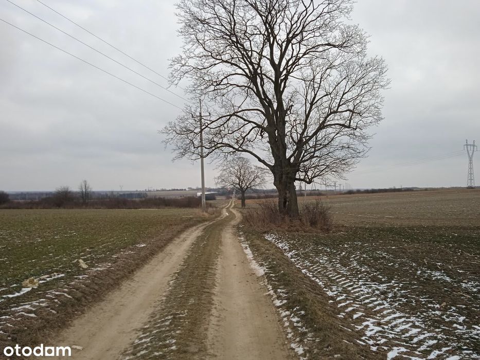 OSTATNIA DZIAŁKA! OKAZJA!! Wymarzona działka z sadem czereśniowym !!!