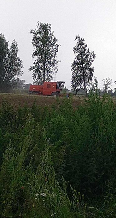 Sprzedam Bizon Rekord  ZO 58