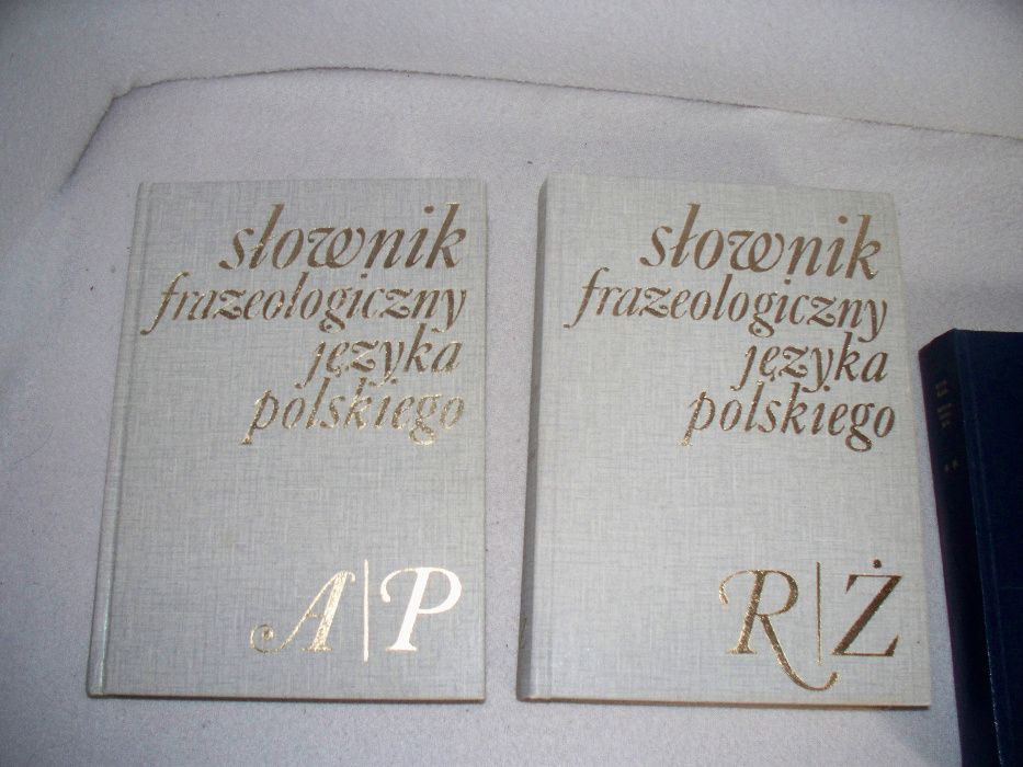 słownik języka polskiego