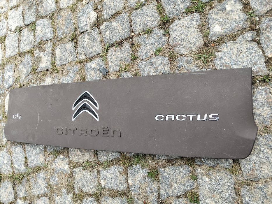 Friso mala painel citroen C4 cactus 2017