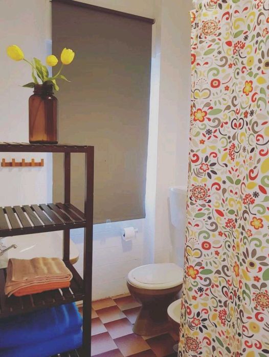 Colourful and spacious studio in Arroios