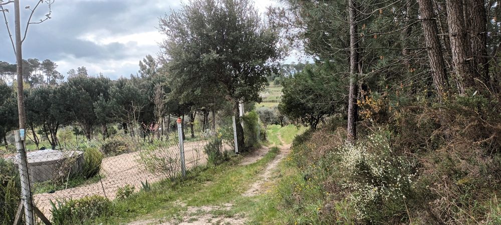 Terreno para venda