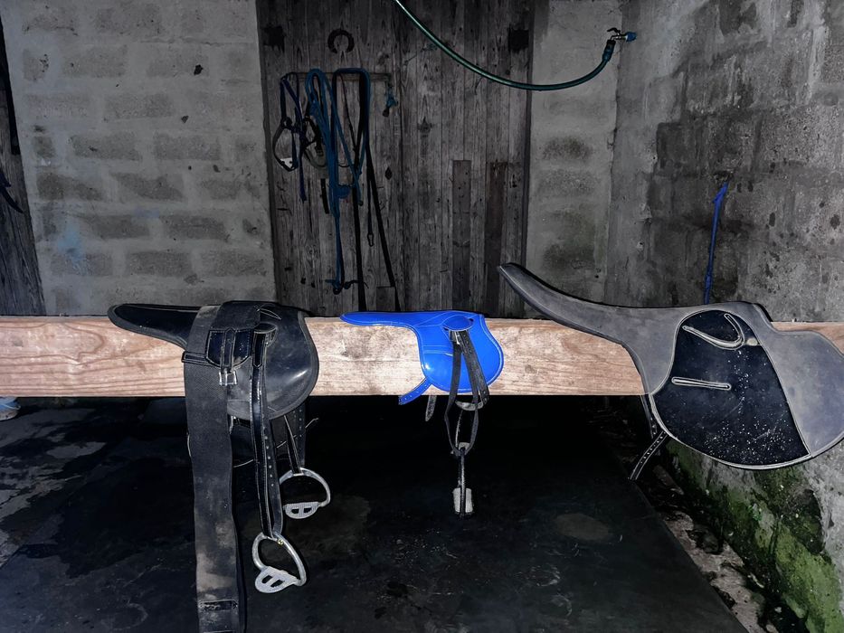 Vendo arreios desporto