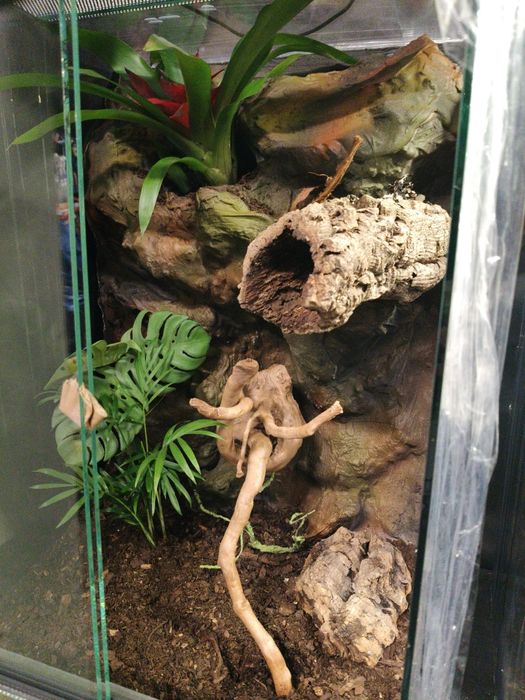 Terrarium 40x40x60 idealne dla gekona!