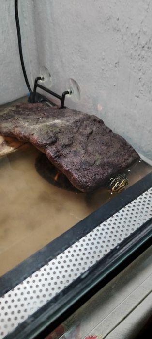 Z wodno lodowy parka