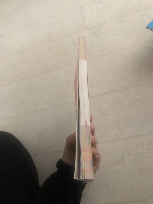 Słownik ortograficzny ilustrowany Greg sylaby dla dzieci L. Szary nowy