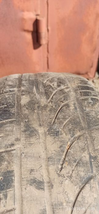 Шини Kumho 195/55 r15: Безкоштовно - Автошини Суми на Olx