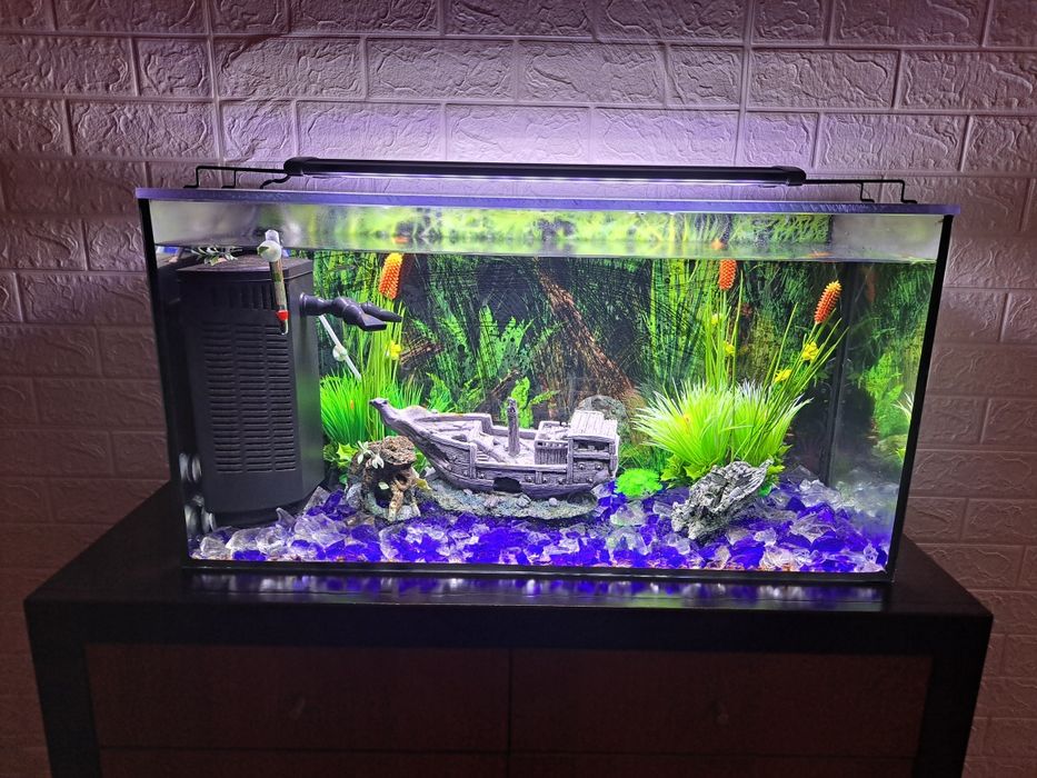 Aquario de peixe de agua quente 100L