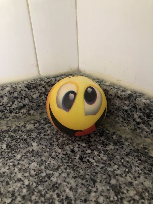 Bola saltitona