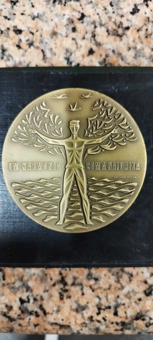 Lote de variedade Medalhas