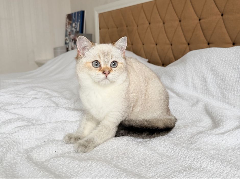 Хлопчик у рідкісному окрасі