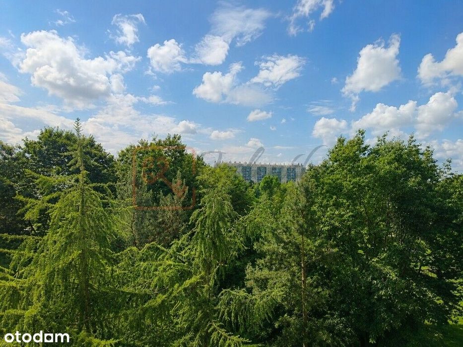 53m2, Nowe Miasto