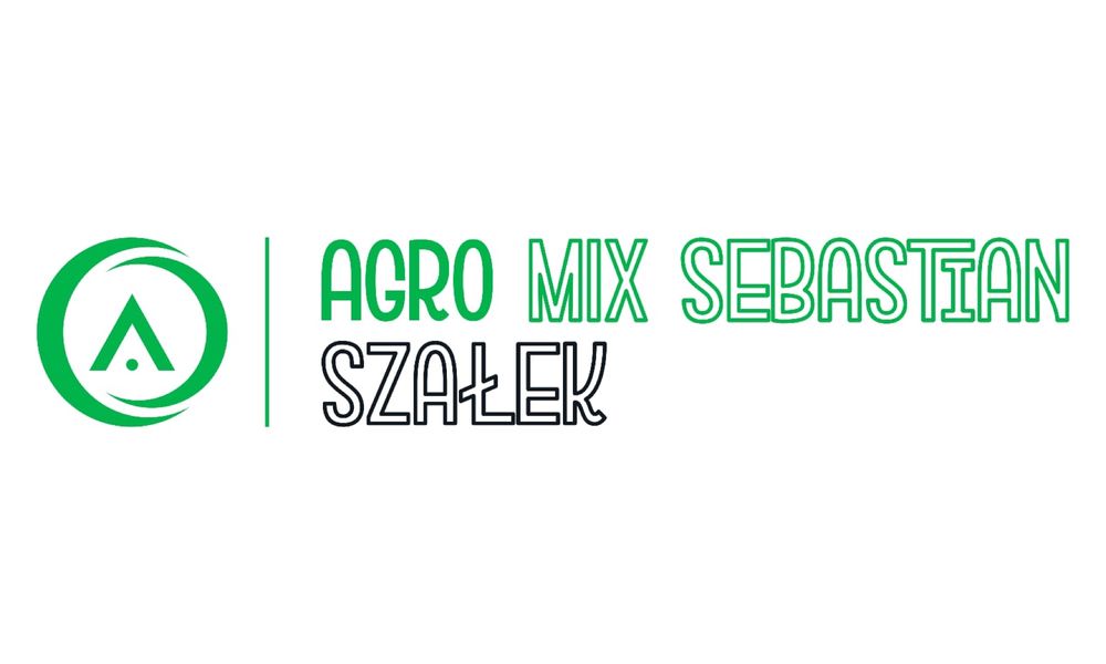 BRUCE LEE - Miatrz na każdym polu