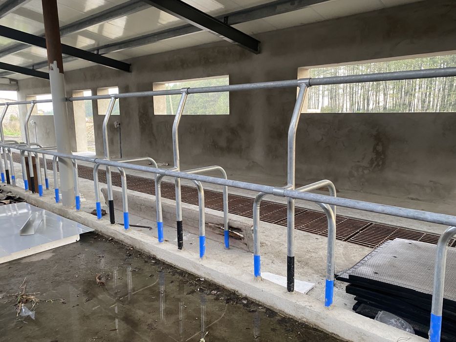 Wygrodzenia stanowiska dla bydła Jażmo uwięzi ,agrafka .łańcuch