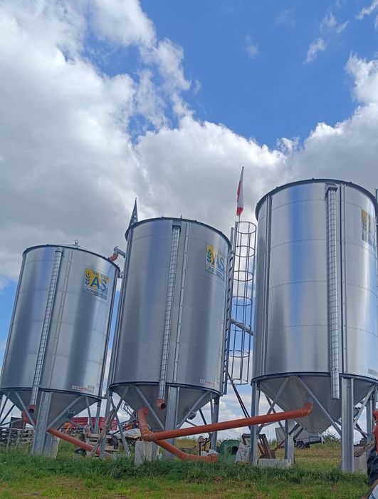 Sprzedam PSZENICE ozimą