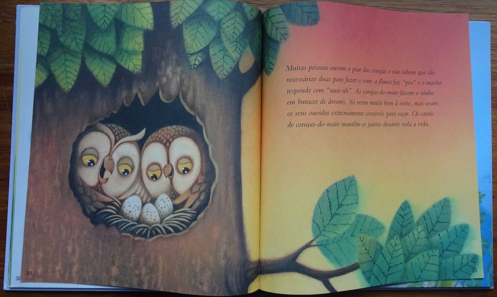 Histórias Para Os 4 Anos