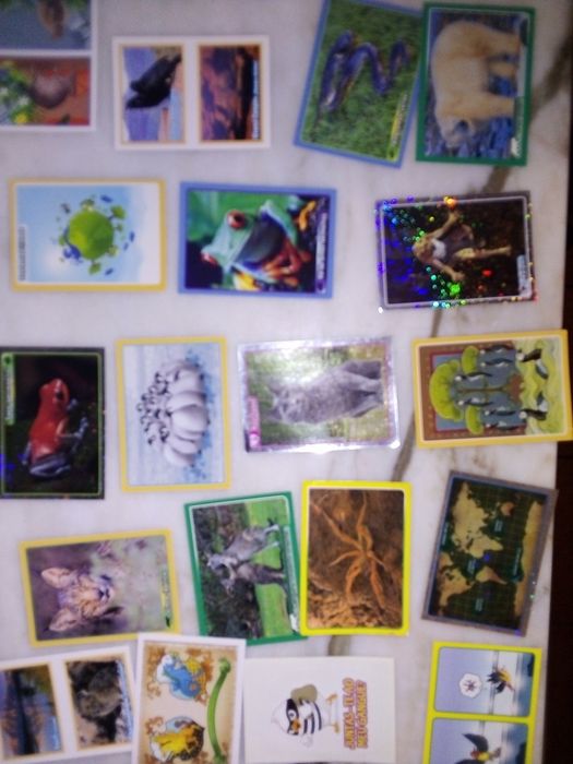 Conjunto de 45 Cromos Colecção Animais