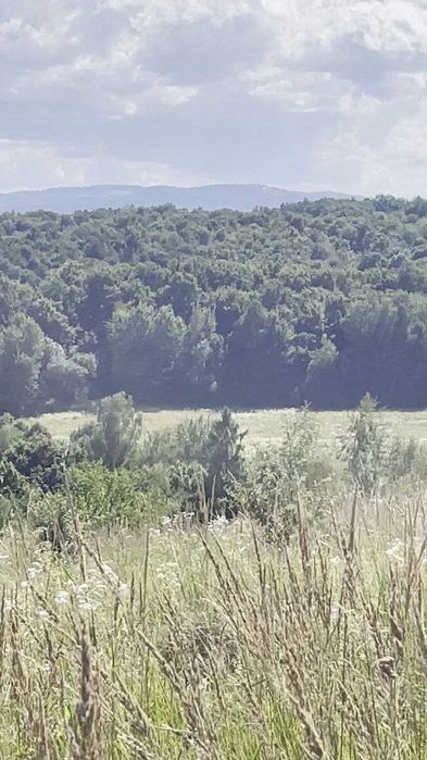 Продам земельну ділянку 25 сотих у с. Вербовець, Косівський р-н