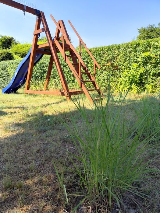 Działka ROD Pogodny w Kaliszu — 500 m², idealna dla rodziny z dziećmi - Widok 3