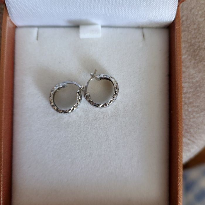 Сережки срібні  кільця
