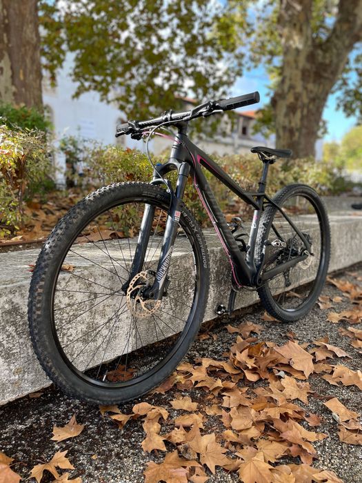 Specialized Fate Comp Carbon 29