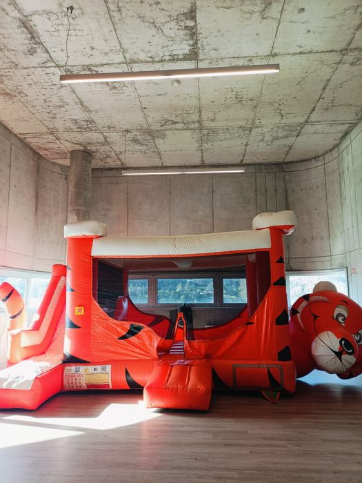 Insuflável grande usado