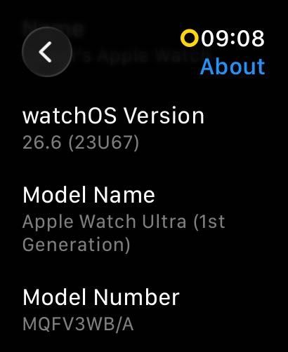 Apple Watch Ultra 49mm Tytan LTE + tytanowa bransoleta Milanese