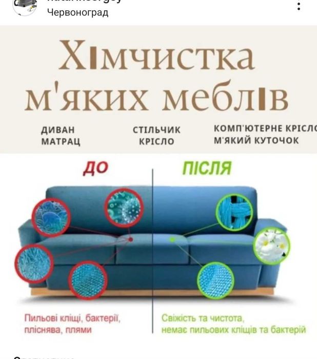 Професійна хімчистка м'яких меблів