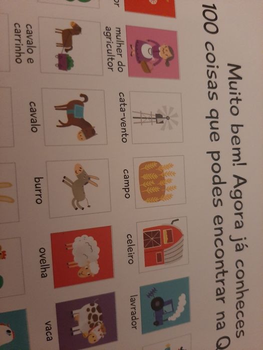 Livro Quinta 100 Janelinhas para Conhecer Novo