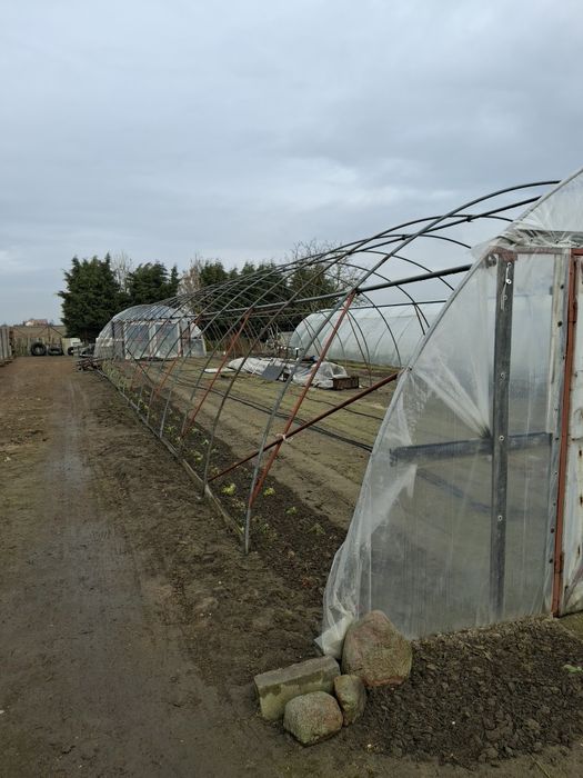 Tunel foliowy 6x30