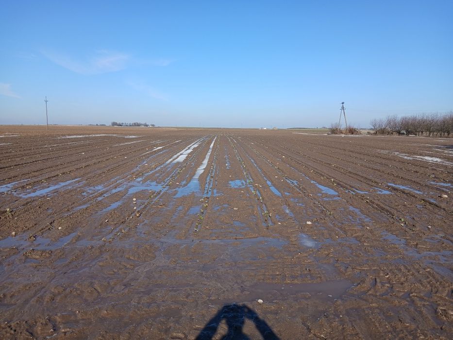 Działki rolne na sprzedaż 3ha - Widok 6