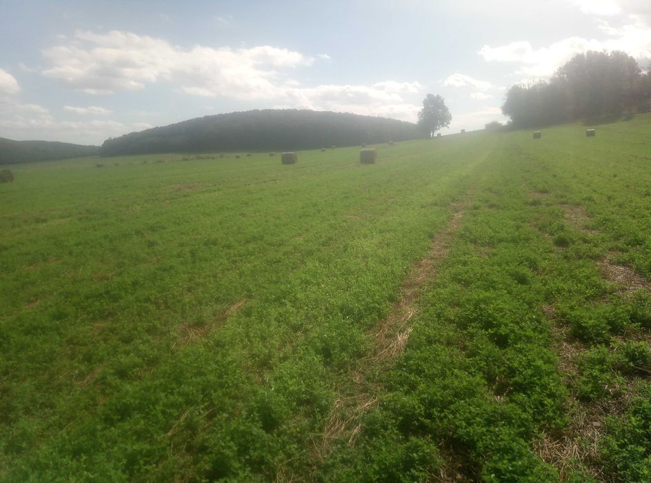 lucerna siano bale 120