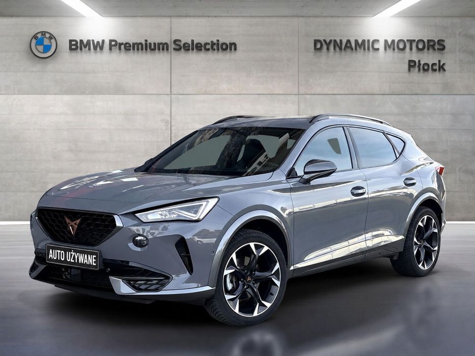 Cupra Formentor 2.0 TSI 190 KM 4Drive DSG