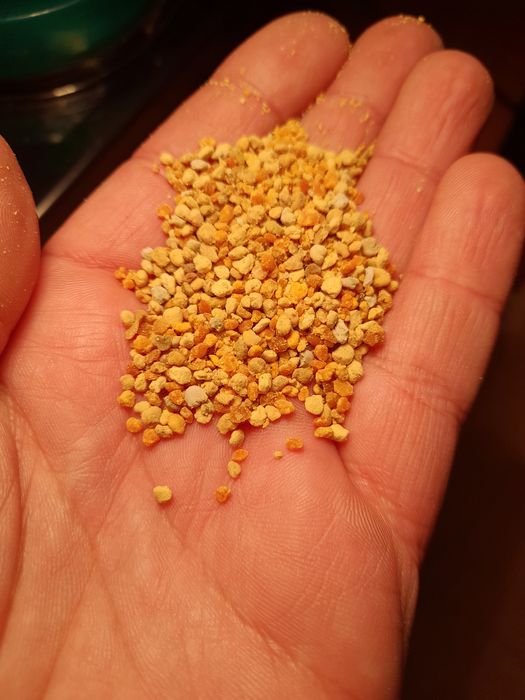 Kwiatowy Pszczeli 2025 jasny, wymrozony