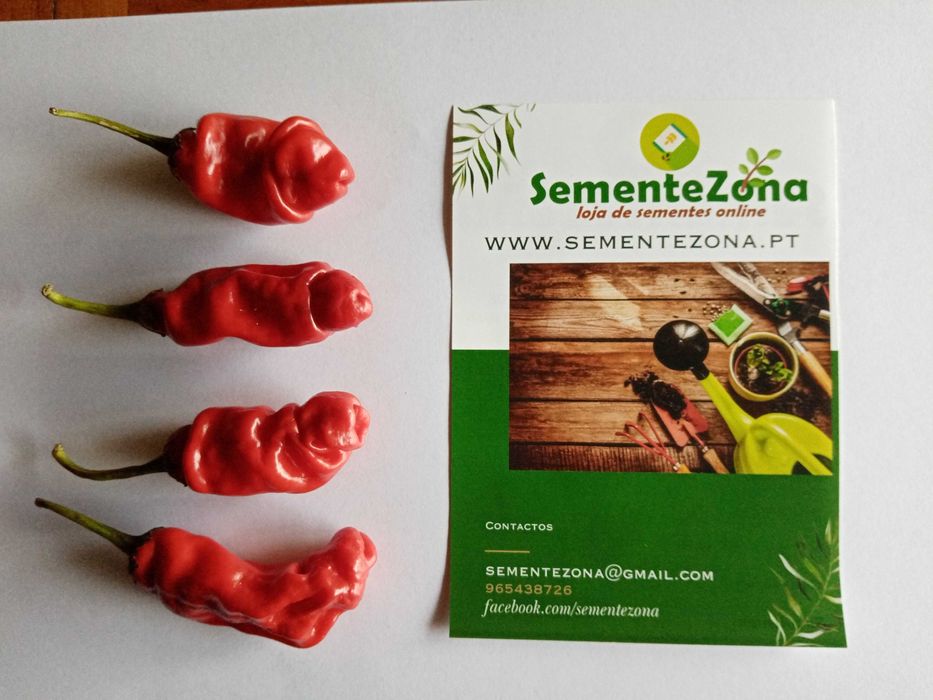 10 Sementes Peter Pepper (pimenta penis erótica)