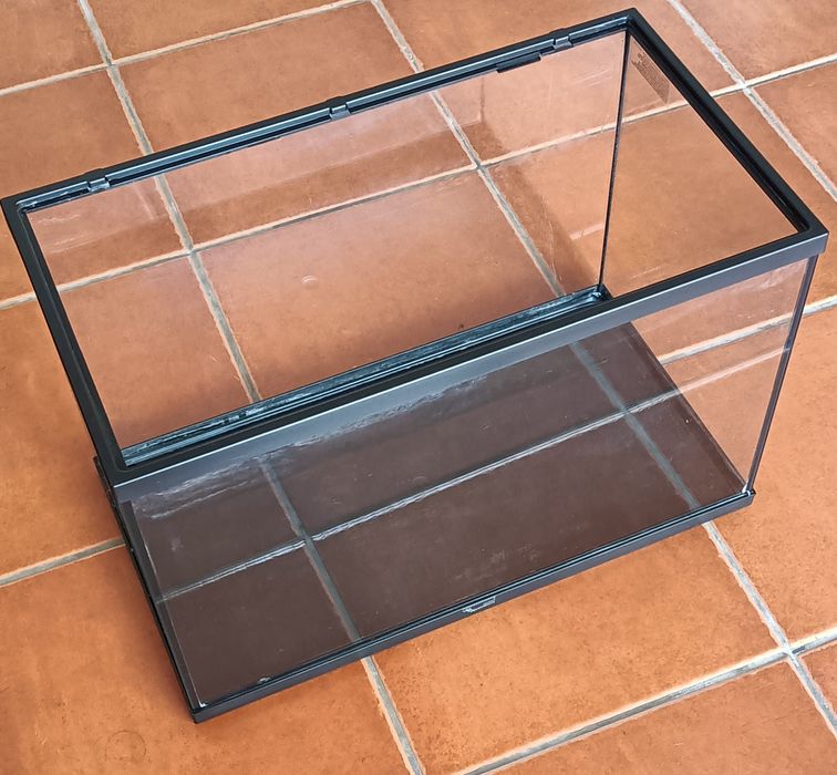 Aquário grande peixes