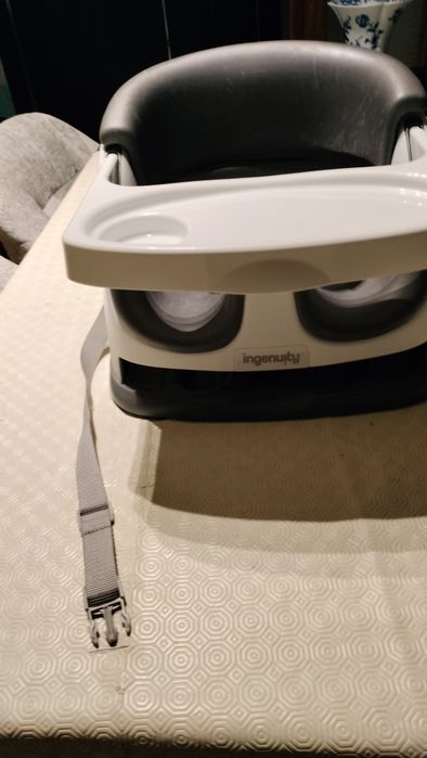 Cadeira alimentação Ingenuity