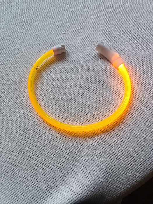 Coleira para cão de presença iluminada